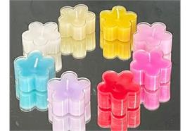 Blütenlichter mit transp. Hülle