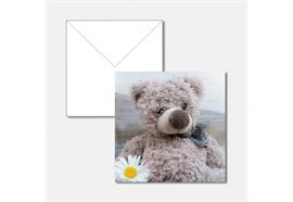 Doppelkarte Geburt Teddybär  Quadratisch 13.5 x 13.5 cm