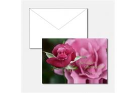 Doppelkarte Geburtstag pinkfarbene Rose  Querformat 17.5 x 12.2 cm