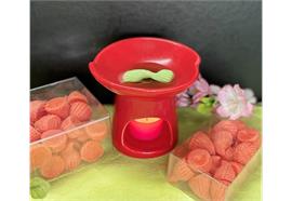Duftwachs exotic 20 Kegel für Duftlampe