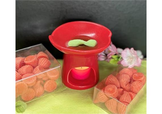 Duftwachs exotic 30 Kegel für Duftlampe